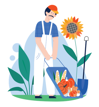 Gardener with fresh vegetable harvest  Illustration