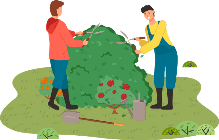Gardeners cut a large bush  イラスト