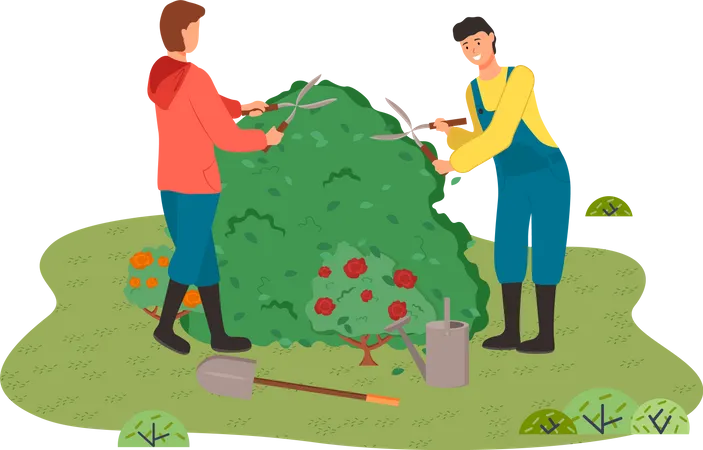 Gardeners cut a large bush  Illustration