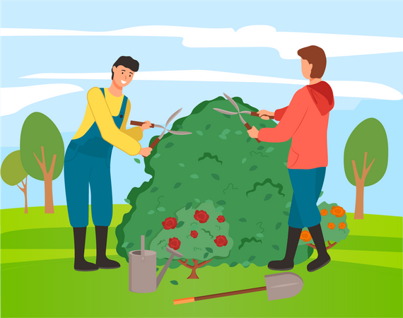 Gardeners cutting bushes in the farm  Illustration