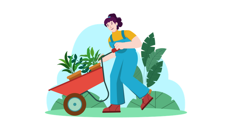 Gardening  Illustration