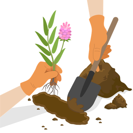 Gardening And Agriculture  Illustration