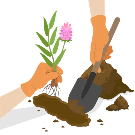 Gardening And Agriculture  Illustration