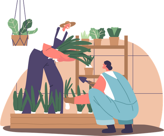 Gardner cultivating vegetables and herbs in a controlled environment  Illustration