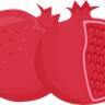 illustration for pomegranate