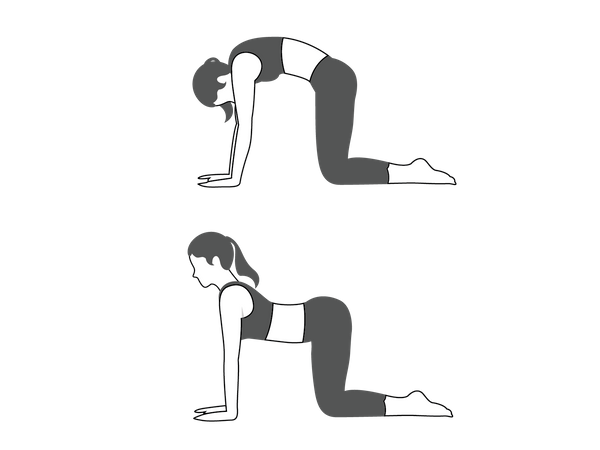 Menina fazendo Marjaryasana-Bitilasana  Ilustração