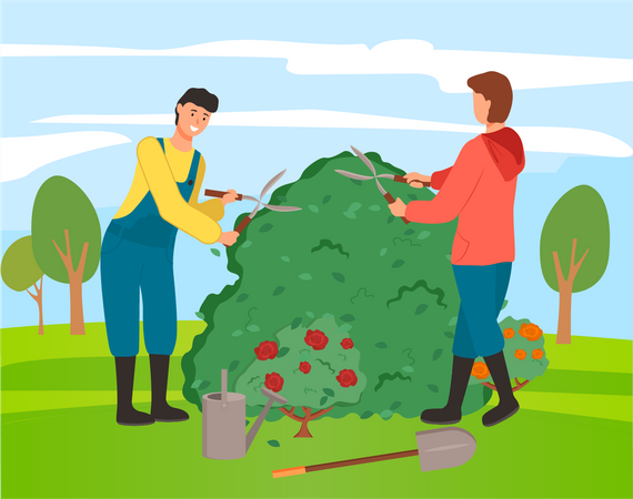 Gärtner schneiden Büsche auf der Farm  Illustration