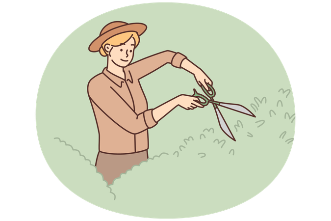 Gärtnerin verwendet große Schere, um Büsche zu formen und kranke Zweige zu entfernen  Illustration