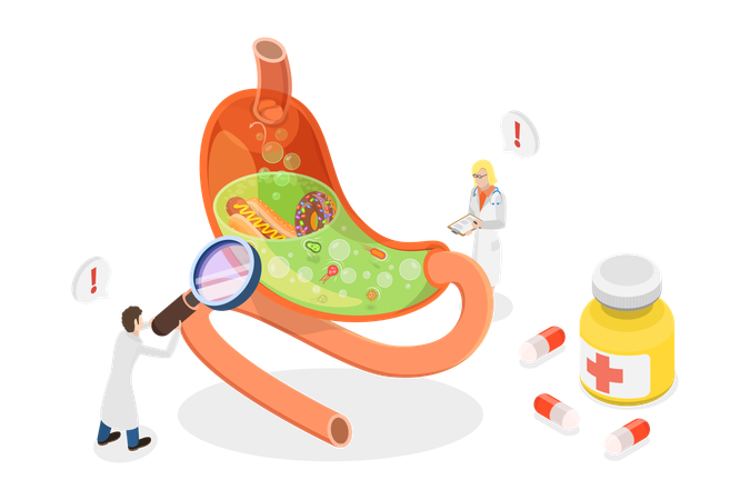 Gastrite e doença por Helicobacter  Illustration