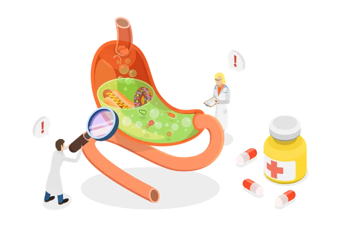 Gastrite et maladie à Helicobacter  Illustration