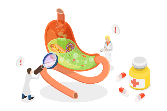 Gastritis And Helicobacter Disease  Illustration