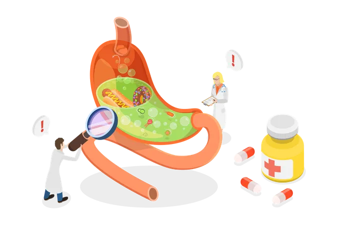 3 D Isometric Flat Vector Conceptual Illustration Of Gastritis And Helicobacter Disease Problems With Intestines Or Digestion Illustration