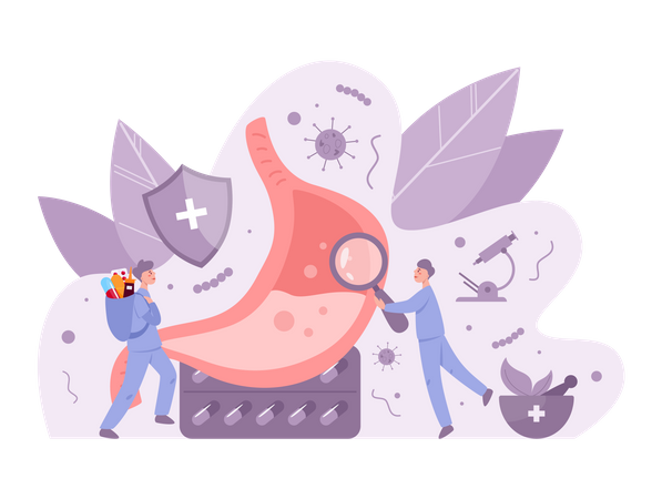 Gastro-entérologie  Illustration