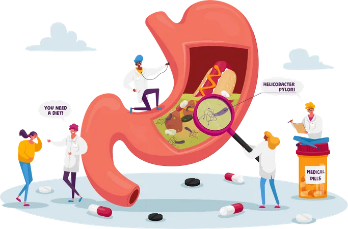 Gastroenterologie  Illustration