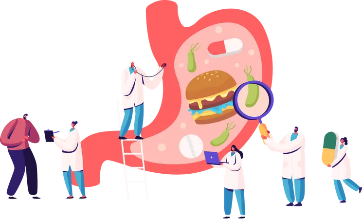 Gastroenterologie  Illustration