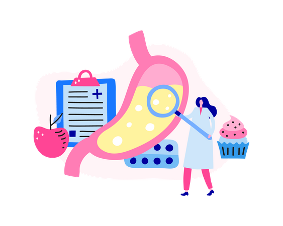 Gastroenterologie  Illustration