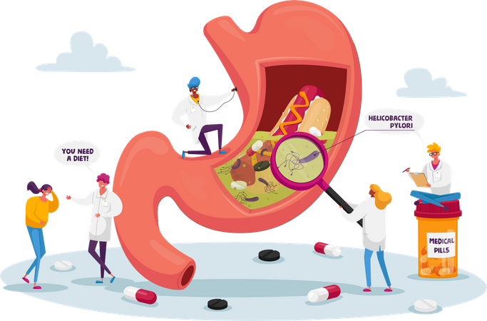 Gastroenterology  Illustration