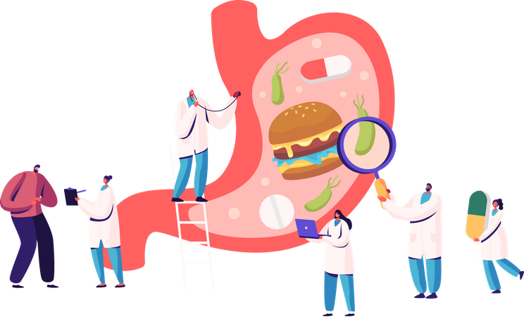 Gastroenterology  Illustration