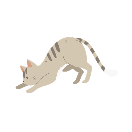 Gatinho fofo agachado  Ilustração