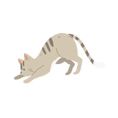 Gatinho fofo agachado  Ilustração