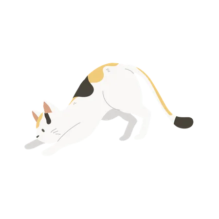 Gatinho fofo agachado ou se espreguiçando  Ilustração