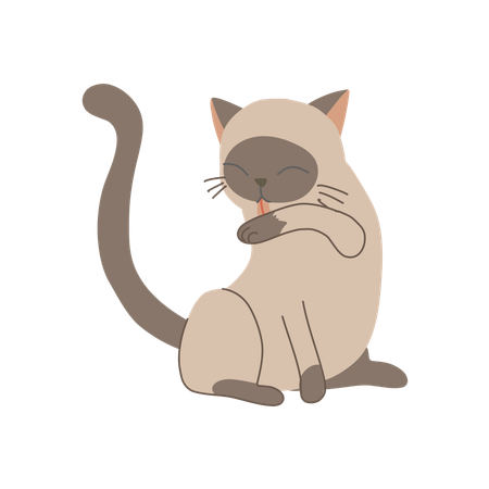 Gatinho fofo lambendo o próprio braço para se arrumar e se limpar  Ilustração