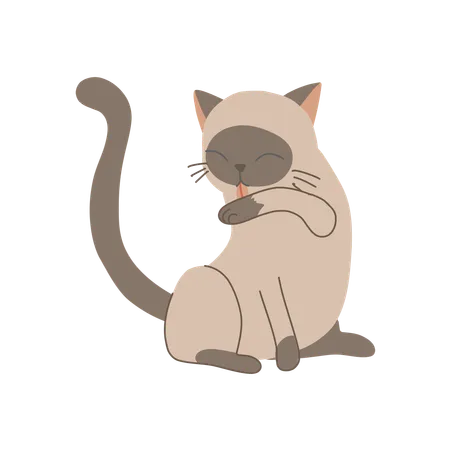 Gatinho fofo lambendo o próprio braço para se arrumar e se limpar  Ilustração