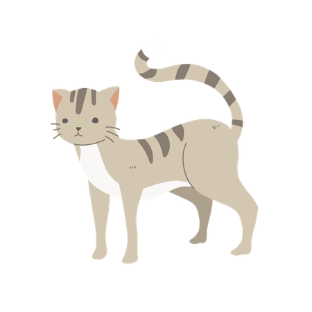 Gato adorável  Ilustração