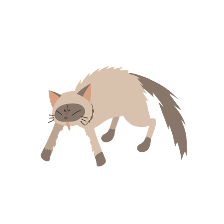 Gato agressivo  Ilustração