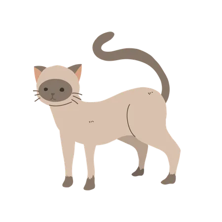 Gato de rua  Ilustração