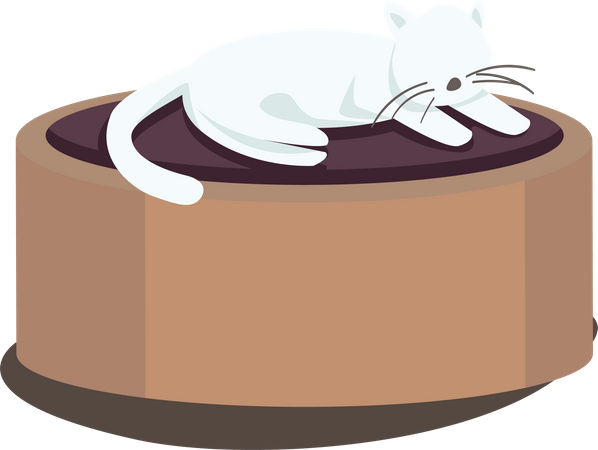 Gato deitado no banquinho  Ilustração