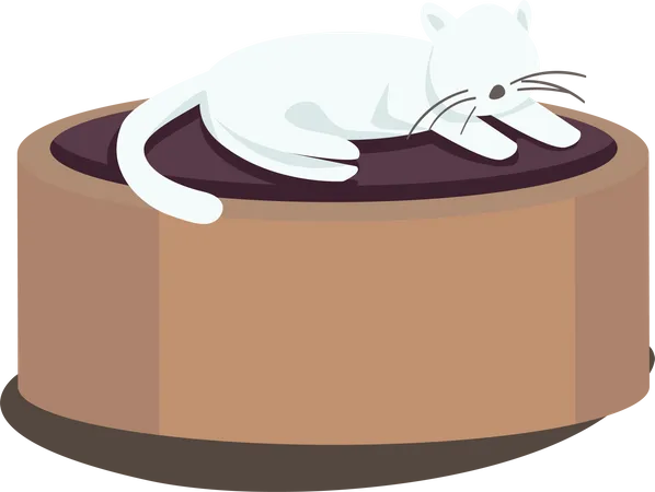 Gato deitado no banquinho  Ilustração