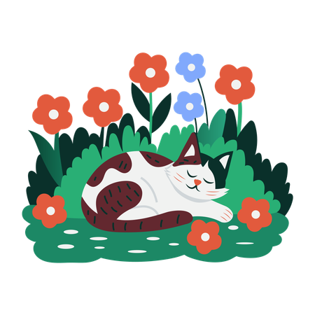 Gato dormindo  Ilustração