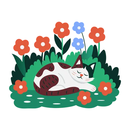 Gato dormindo  Ilustração