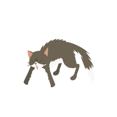 Gato em estado agressivo  Ilustração