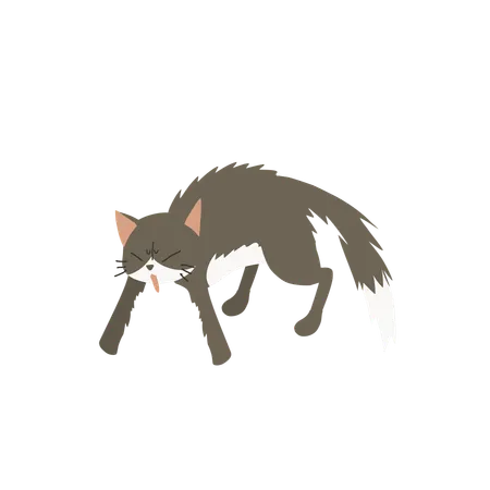 Gato em estado agressivo  Ilustração