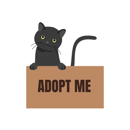 Gato en caja con cartel de 'Adoptame'  Ilustración