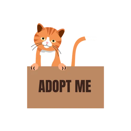 Gato en caja con cartel de 'Adoptame'  Ilustración