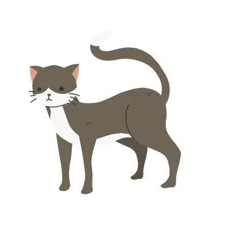 Gato engraçado  Ilustração