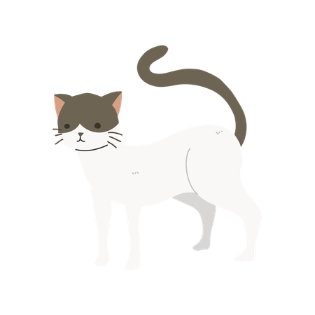 Gato fofo e charmoso  Ilustração