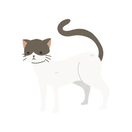 Gato fofo e charmoso  Ilustração