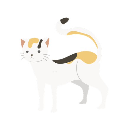 Gato fofo e charmoso  Ilustração