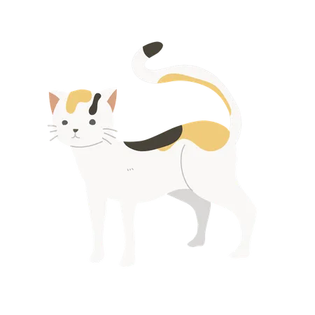 Gato fofo e charmoso  Ilustração