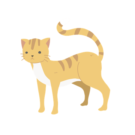 Gato fofo e charmoso  Ilustração