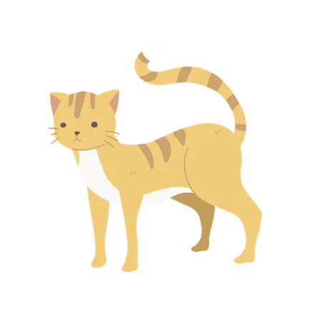 Gato fofo e charmoso  Ilustração