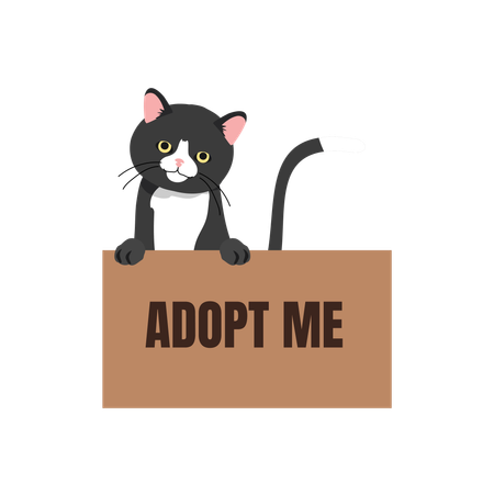 Gato negro en caja con letrero 'Adoptame'  Ilustración
