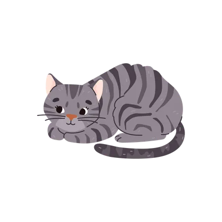 Gatto grigio striato domestico  Illustration