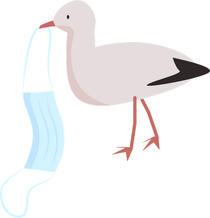 Gaviota porta mascarilla contra el coronavirus  Ilustración