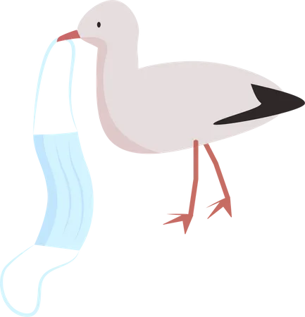 Gaviota porta mascarilla contra el coronavirus  Ilustración