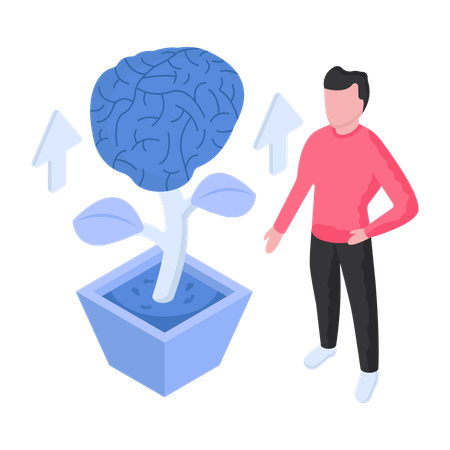 Gehirnentwicklung  Illustration